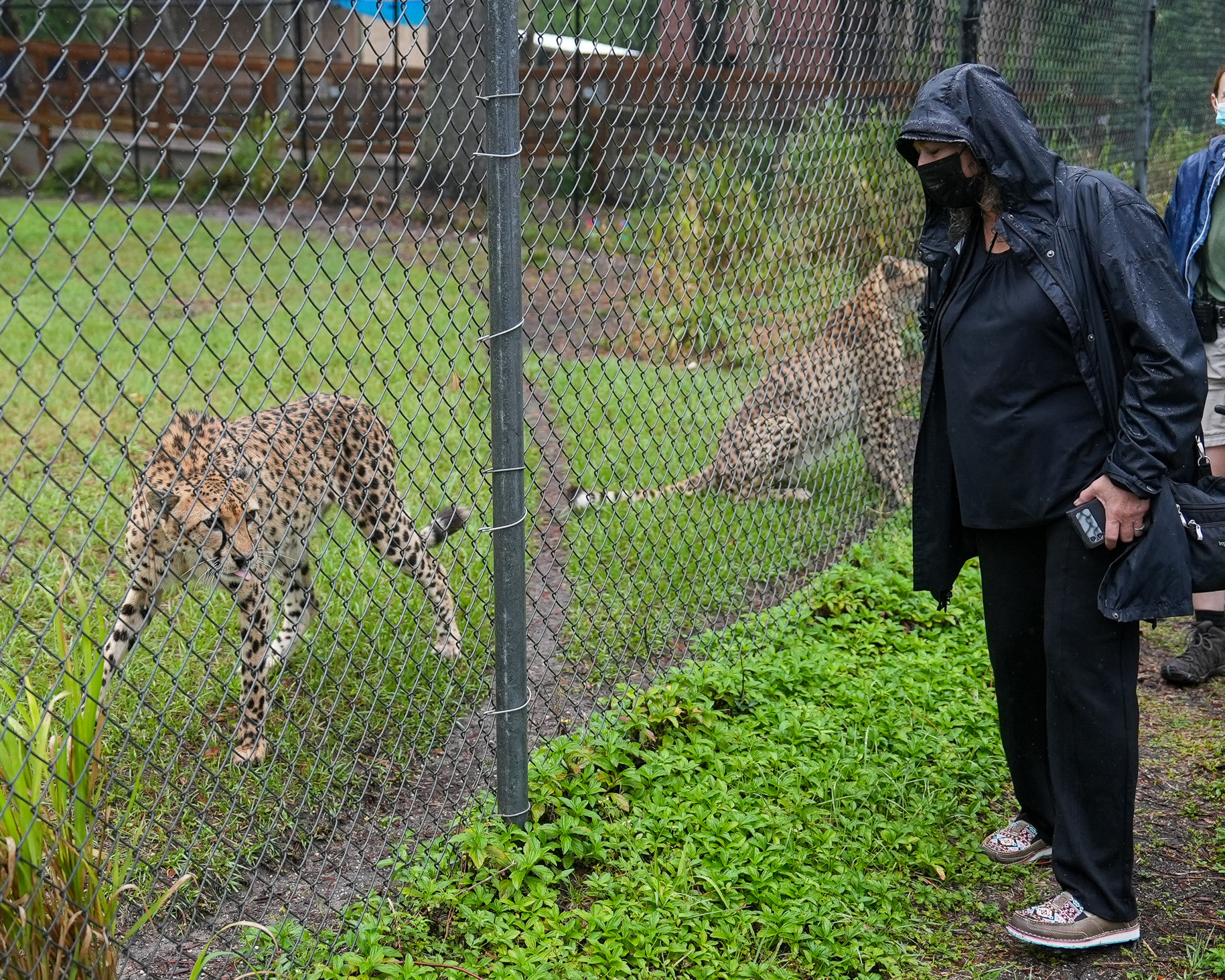 Central Florida Zoo & Botanical Gardens Conservation expert Dr. Laurie