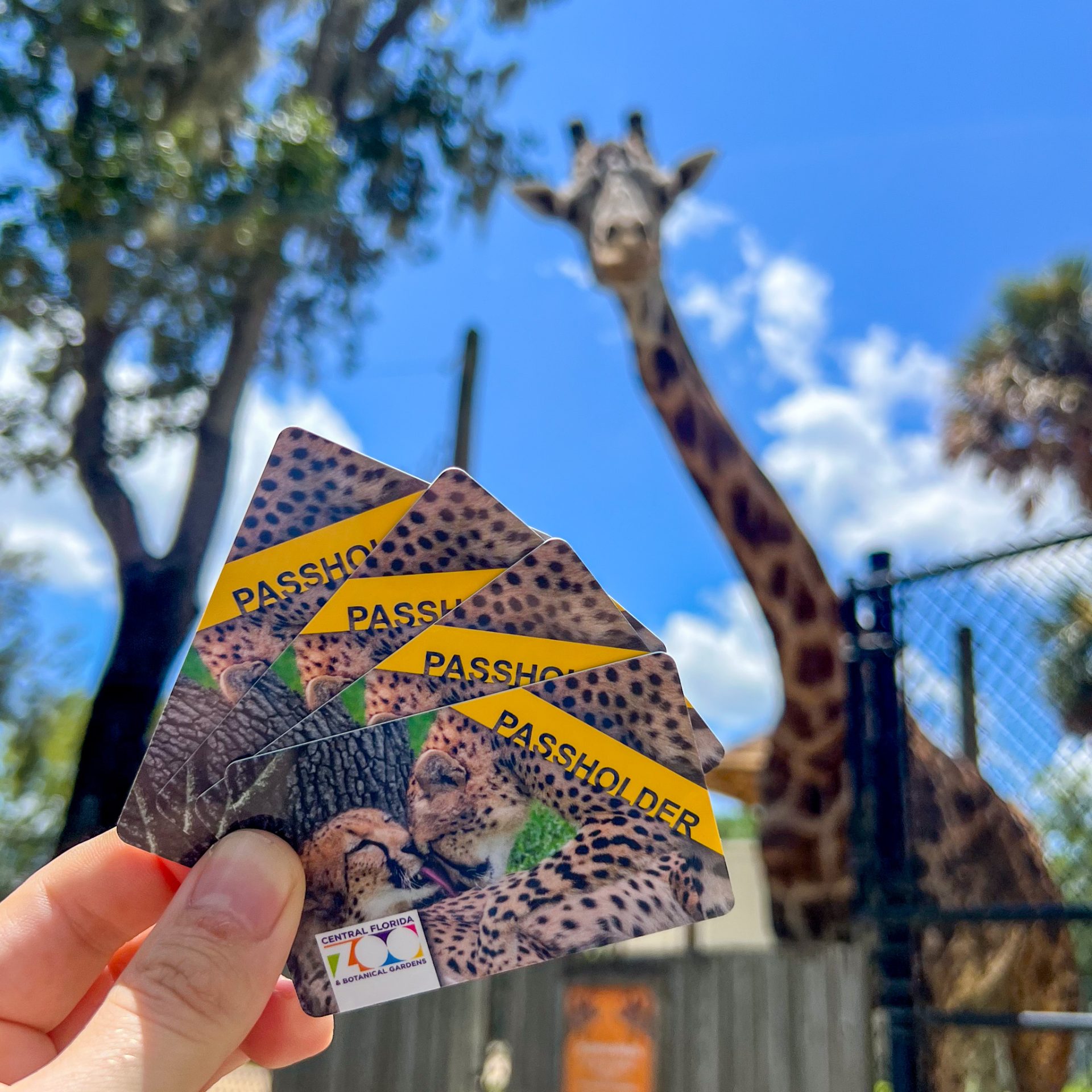 Central Florida Zoo & Botanical Gardens 5 ways to make a difference at ...