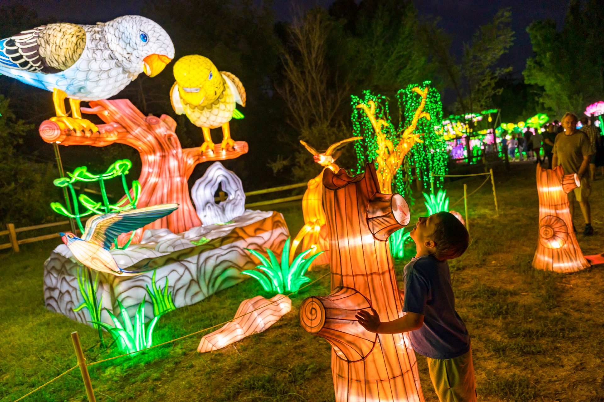 Central Florida Zoo & Botanical Gardens Asian Lantern Festival Into